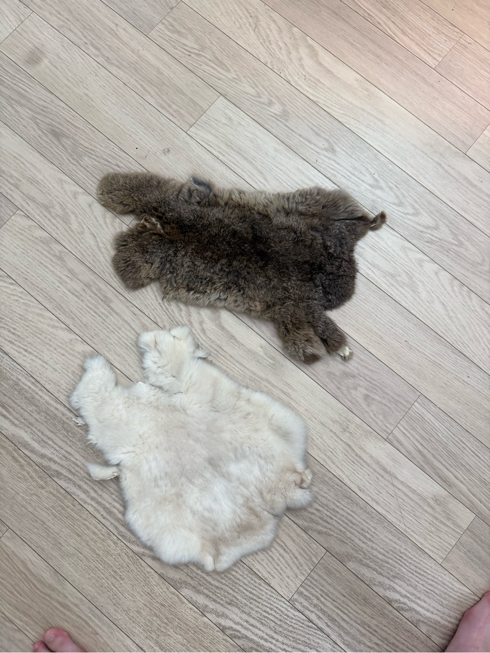 Two real fur skins